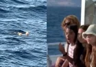 Bodrum – İstanköy arasında feribot yolcularına şok denizde çocuk cesedi buldular  Jet ski ile umuda yolculuk facia ile sonuçlandı, bir çocuk öldü iki kişi kalıp