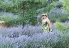 Muğla’da çok renkli lavanta festivali