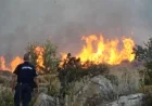 Gümüşlük'te Makilik Alanda Yangın Paniği