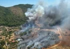 Muğla- Dalaman İnlice'de Orman Yangını Çıktı, Kuvvetli Rüzgar Müdahaleyi Zorlaştırıyor