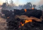 MUĞLA'DA KABUS GİBİ GECE! Alevler Köyün İçine Girdi, Evler ve Traktör Kül Oldu