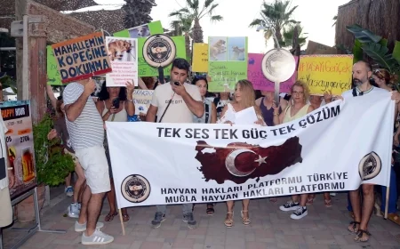 Bodrumlu Hayvanseverlerden sokak köpeğine kötü davranan turistik işletmeye eylem ve protesto