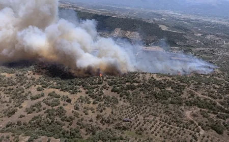 Aydın'da Zirai Alanda Çıkan Yangına Havadan ve Karadan Müdahale