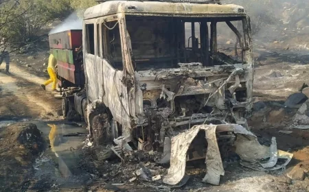 Aydın'daki Orman Yangınında Muğla Orman Bölge Müdürlüğü'ne Ait Arazöz Yandı
