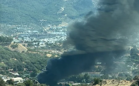 Bodrum'da Bir Yangın Sönmeden Diğeri Başladı: Ortakent'te Korkutan Alevler