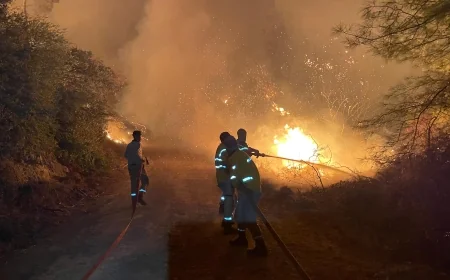 Bodrum Gönüllüleri'nden Yangın Riskine Karşı Duyarlılık Çağrısı