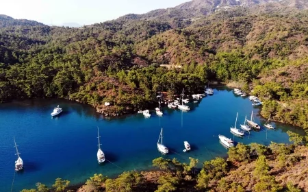 Göcek ve Dalaman koylarında İdare Mahkemesi kararı uygulansın tepkisi