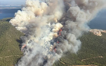 Milas'ta GÜRÇAMLAR ORMANLARI ALEV ALEV YANIYOR
