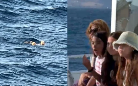 Bodrum – İstanköy arasında feribot yolcularına şok denizde çocuk cesedi buldular  Jet ski ile umuda yolculuk facia ile sonuçlandı, bir çocuk öldü iki kişi kalıp