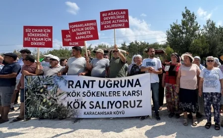 Akbelen'de Büyük Buluşma: Orman Kıyımının 3. Yılında Çevreciler Yeniden Bir Araya Geliyor