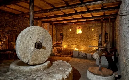 Antik kentteki 1500 yıllık zeytinyağı işliği yaşama döndü