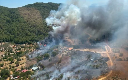 Muğla- Dalaman İnlice'de Orman Yangını Çıktı, Kuvvetli Rüzgar Müdahaleyi Zorlaştırıyor
