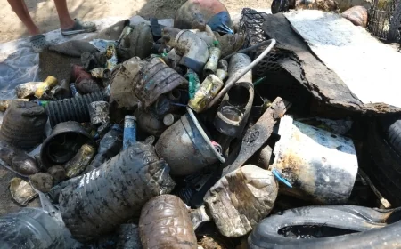 Sosyetenin denizi çöplük olmuş, iki saatte 650 kilo atık çıkarıldı