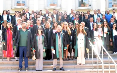 Bodrumlu Avukatlardan Sokak Hayvanlarını Hedef Gösteren Paylaşımlara Suç Duyurusu