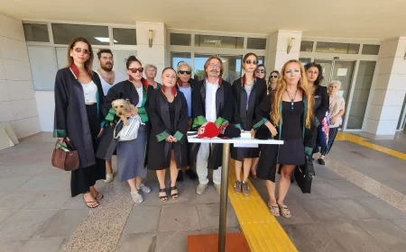 Bodrum’da 111 avukat sokak hayvanlarının hedef gösterilmesi nedeniyle suç duyurusunda bulundu