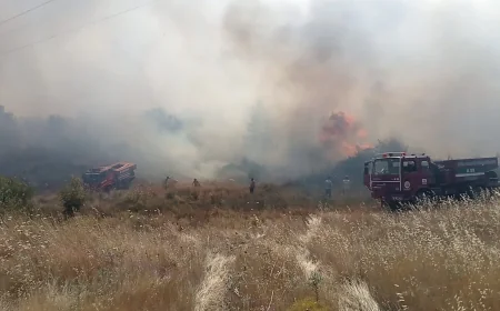 Tarım Arazisinde Başlayan Yangın Ormana Sıçradı: Havadan ve Karadan Yoğun Müdahale