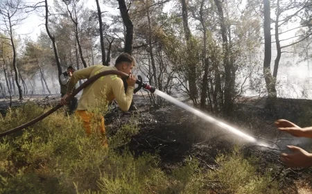 Muğla’da kaynak makinesi çalıştırırken 5 hektarlık ormanı yaktılar 1 gözaltı