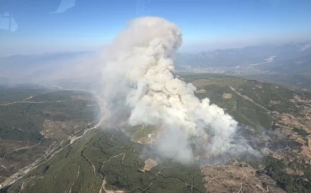 Tarladaki yangın ormana sıçradı, durdurulamıyor