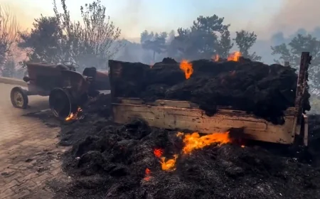 MUĞLA'DA KABUS GİBİ GECE! Alevler Köyün İçine Girdi, Evler ve Traktör Kül Oldu