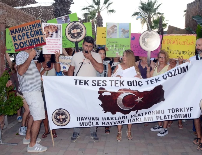 Bodrumlu Hayvanseverlerden sokak köpeğine kötü davranan turistik işletmeye eylem ve protesto