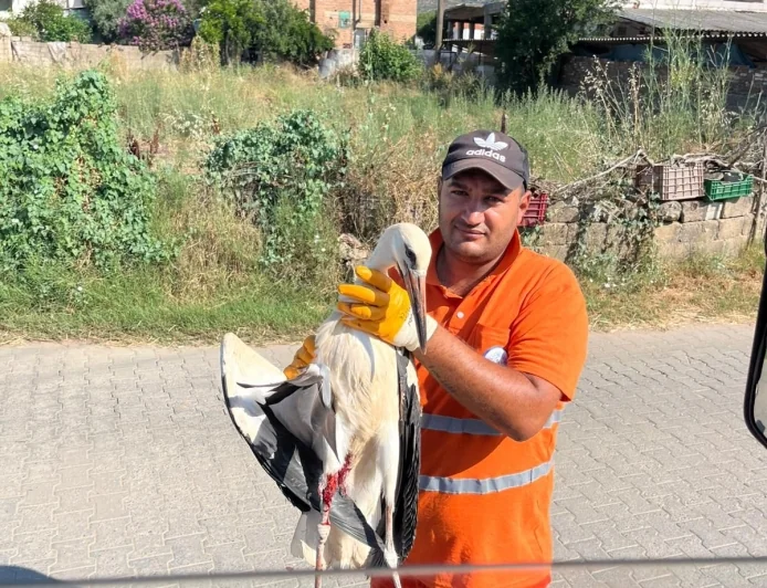 Yaralı leyleğin umudu belediye temizlik işçisi oldu