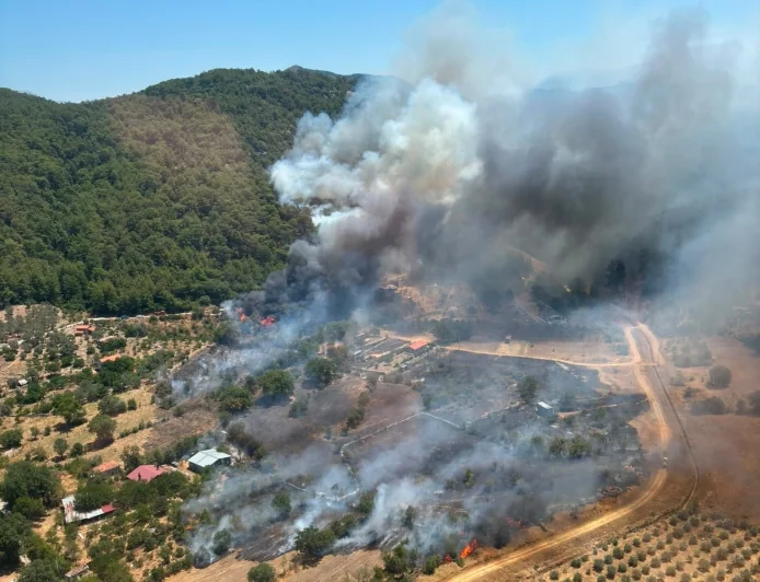Muğla- Dalaman İnlice'de Orman Yangını Çıktı, Kuvvetli Rüzgar Müdahaleyi Zorlaştırıyor