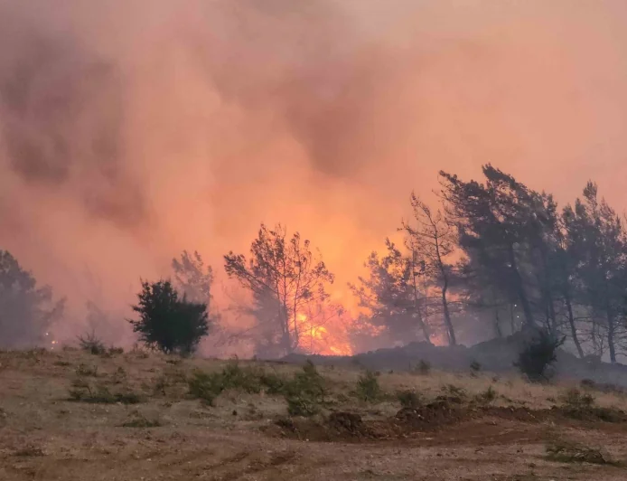 Muğla'nın Cennet Ormanları Sabaha Kadar Yandı: Fethiye-Göcek Hattında Büyük Yangın