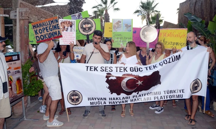 Bodrumlu Hayvanseverlerden sokak köpeğine kötü davranan turistik işletmeye eylem ve protesto