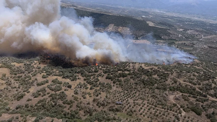 Aydın'da Zirai Alanda Çıkan Yangına Havadan ve Karadan Müdahale