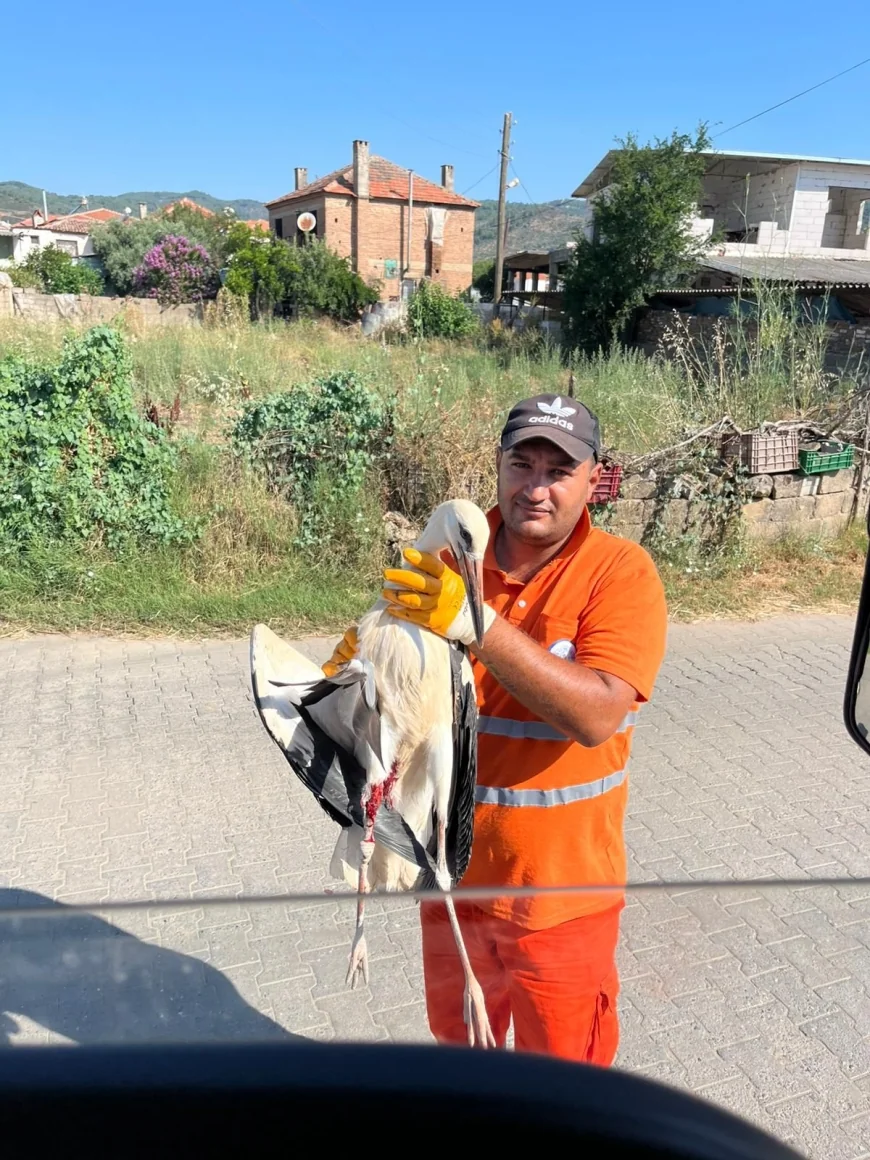 Yaralı leyleğin umudu belediye temizlik işçisi oldu