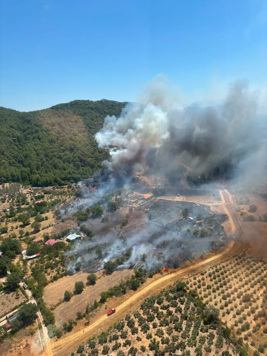 Muğla- Dalaman İnlice'de Orman Yangını Çıktı, Kuvvetli Rüzgar Müdahaleyi Zorlaştırıyor