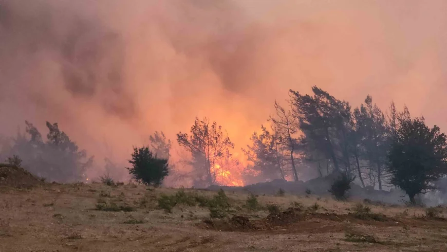 Muğla'nın Cennet Ormanları Sabaha Kadar Yandı: Fethiye-Göcek Hattında Büyük Yangın