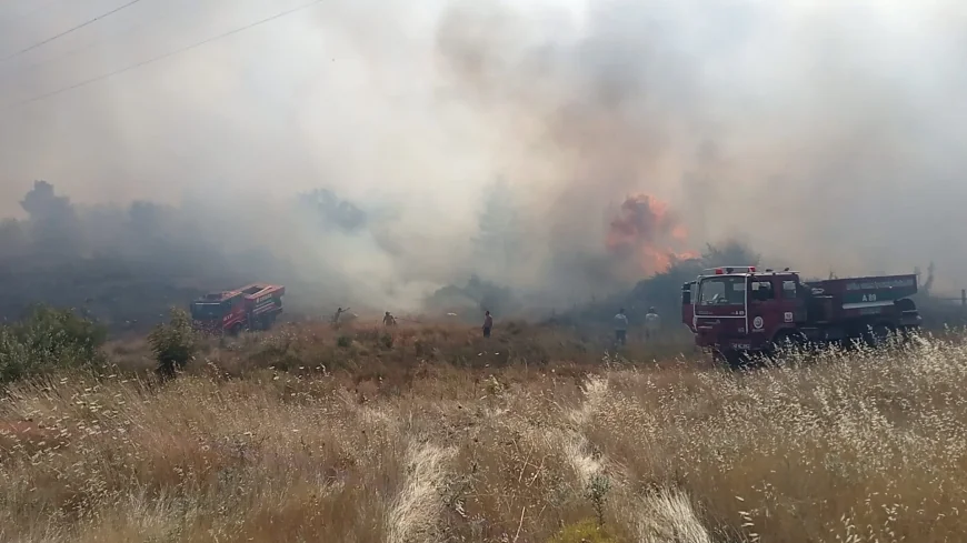 Tarım Arazisinde Başlayan Yangın Ormana Sıçradı: Havadan ve Karadan Yoğun Müdahale
