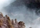 AYDIN’DA ORMANLAR SABAHA KADAR YANDI!