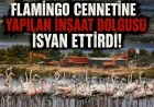 Flamingo cenneti Tuzla Sulak Alanı’na AVM dolgu inşaatı doğaseverleri ayağa kaldırdı