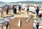 Tuzla'daki  flamingo cennetindeki yüzlerce ton dolguya sert tepki, balıklar ölmeye başladı