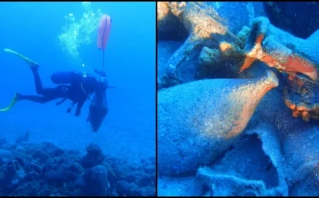 Bodrum açıklarında bulundu hayran bıraktı, dün batmış gibi duruyor