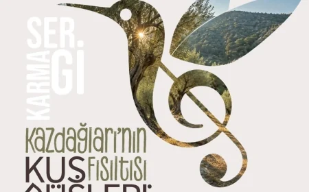 “Kaz Dağları'nın Fısıltısı Kuş Düşleri” Sergisi kapılarını açıyor