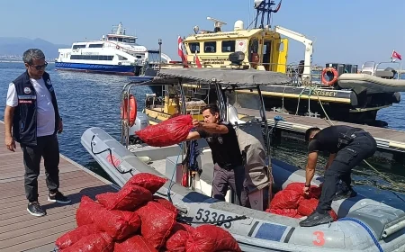 YASA DIŞI AVCILIKTA YARIM TONLUK VURGUN! 560 KİLO MİDYEYE EL KONULDU