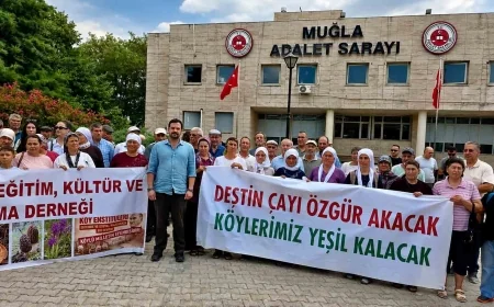 ÇİMENTO FABRİKASI DAVASINDA BİLİRKİŞİ RAPORU KRİZİ!  “BİLİRKİŞİLER ‘İŞİNİ BİLİRKİŞİ’ OLMUŞ!”
