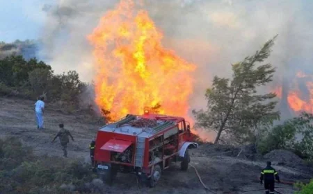 YUNANİSTAN’DA ORMAN YANGINI FACİASI: 2 KİŞİ HAYATINI KAYBETTİ