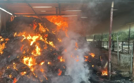 AHIR YANDI 4 BÜYÜKBAŞ HAYVAN TELEF OLDU, 1500 SAMAN BALYASI KÜL OLDU