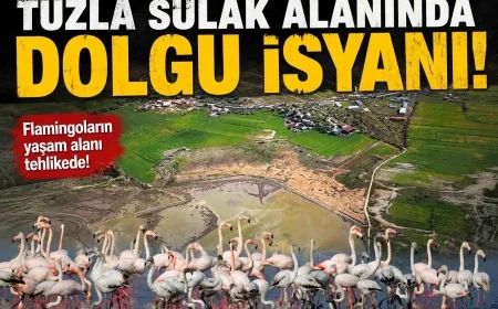 TUZLA SULAK ALANI RANT ALANI DEĞİL KUŞLARIN ALANIDIR BARGİLYA KUŞ CENNETİ’NDE YENİ KRİZ: SULAK ALANI ÇÖLE ÇEVİRİYORLAR
