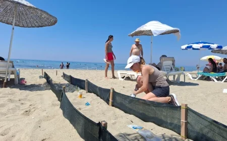 YAVRU CARETTA GÖNÜLLÜLERİ  Yavru carettalar denize ulaşsın diye plaja özel yol yapıp gece nöbet tuttular