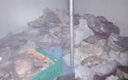Gümbet'deki kasaptan yayılan kötü koku mahalleyi ayağa kaldırdı, 400 kilo kokmuş et ele geçirildi