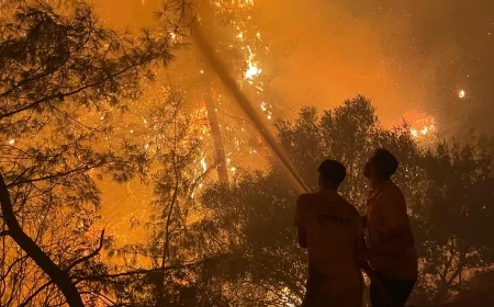 MUĞLA’DA BAŞLADI, ANTALYA’YA SIÇRADI! SEYDİKEMER YANGINI KAŞ’A ULAŞTI
