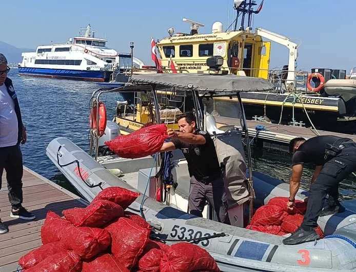 YASA DIŞI AVCILIKTA YARIM TONLUK VURGUN! 560 KİLO MİDYEYE EL KONULDU