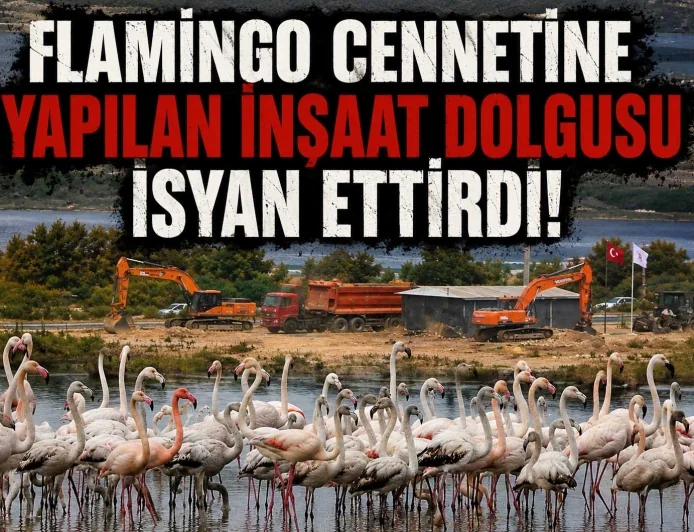 Flamingo cenneti Tuzla Sulak Alanı’na AVM dolgu inşaatı doğaseverleri ayağa kaldırdı