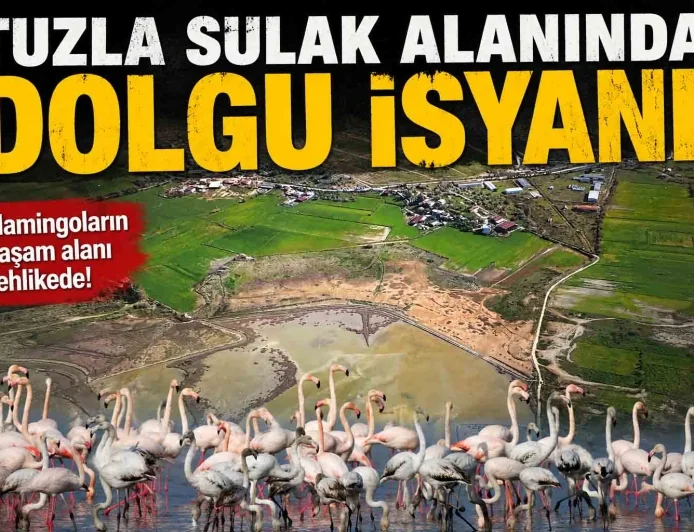 TUZLA SULAK ALANI RANT ALANI DEĞİL KUŞLARIN ALANIDIR BARGİLYA KUŞ CENNETİ’NDE YENİ KRİZ: SULAK ALANI ÇÖLE ÇEVİRİYORLAR