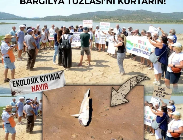 Tuzla'daki  flamingo cennetindeki yüzlerce ton dolguya sert tepki, balıklar ölmeye başladı